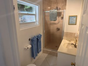 Lower-East-Bathroom-1