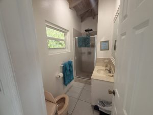 Upper-East-Bathroom-1